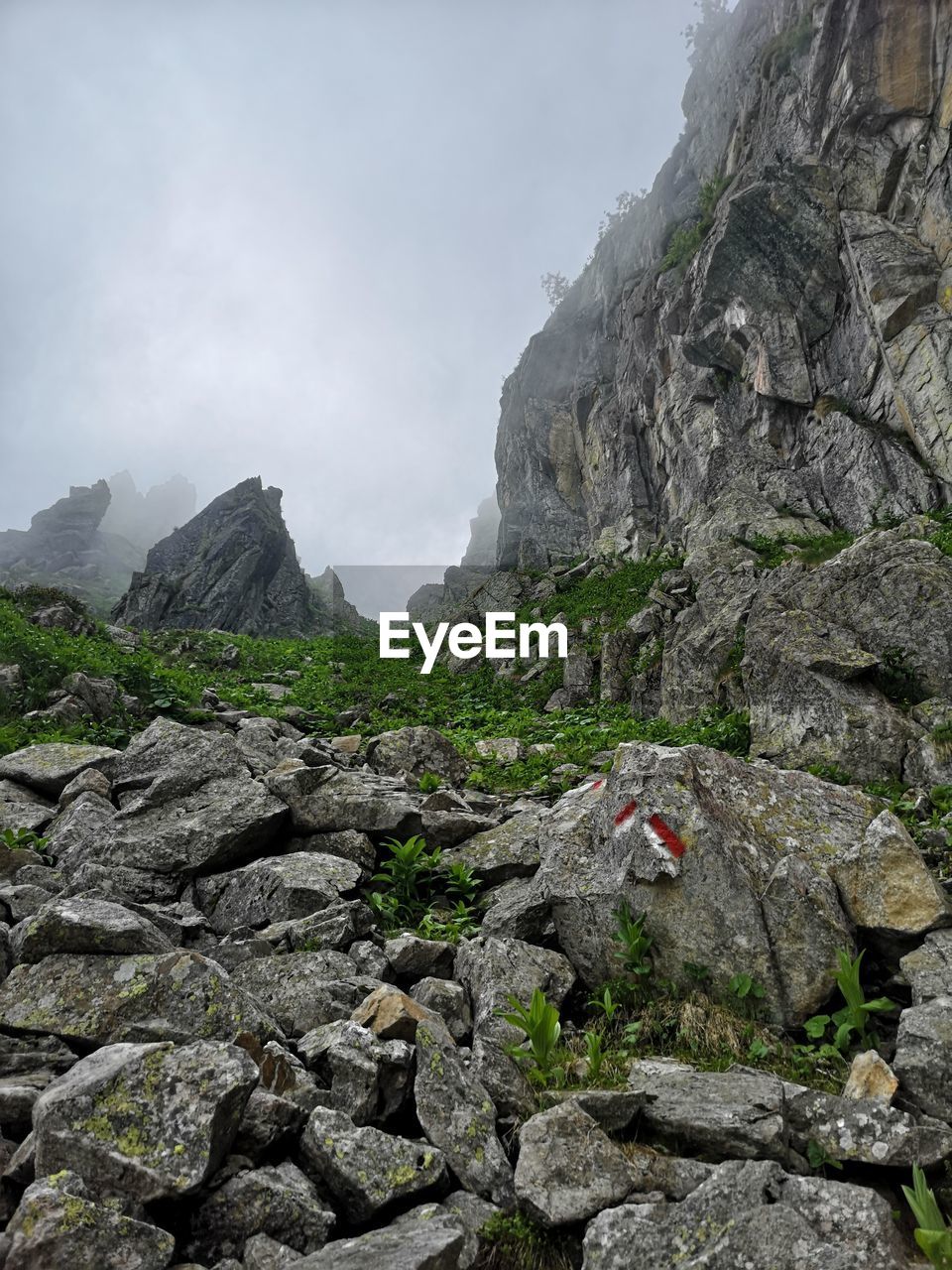 ROCKS ON ROCKY MOUNTAINS