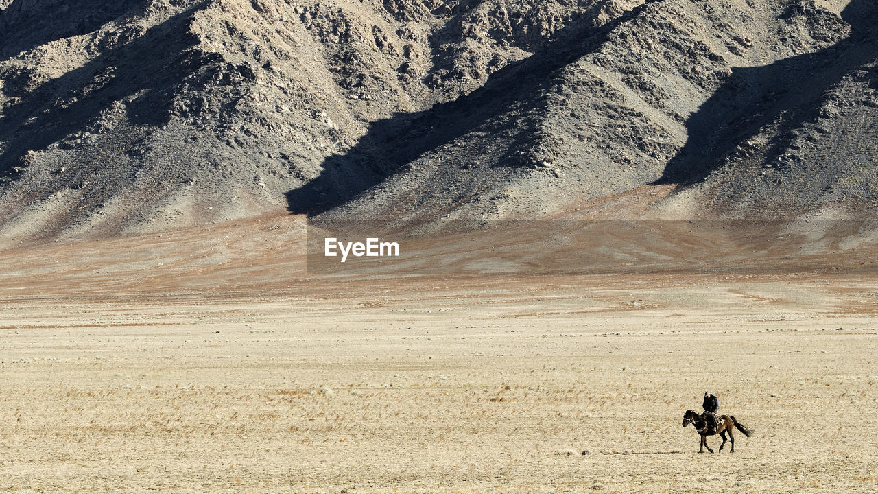 Man riding horse at desert