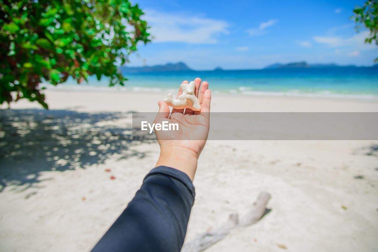 Close-up of person holding rock on beach