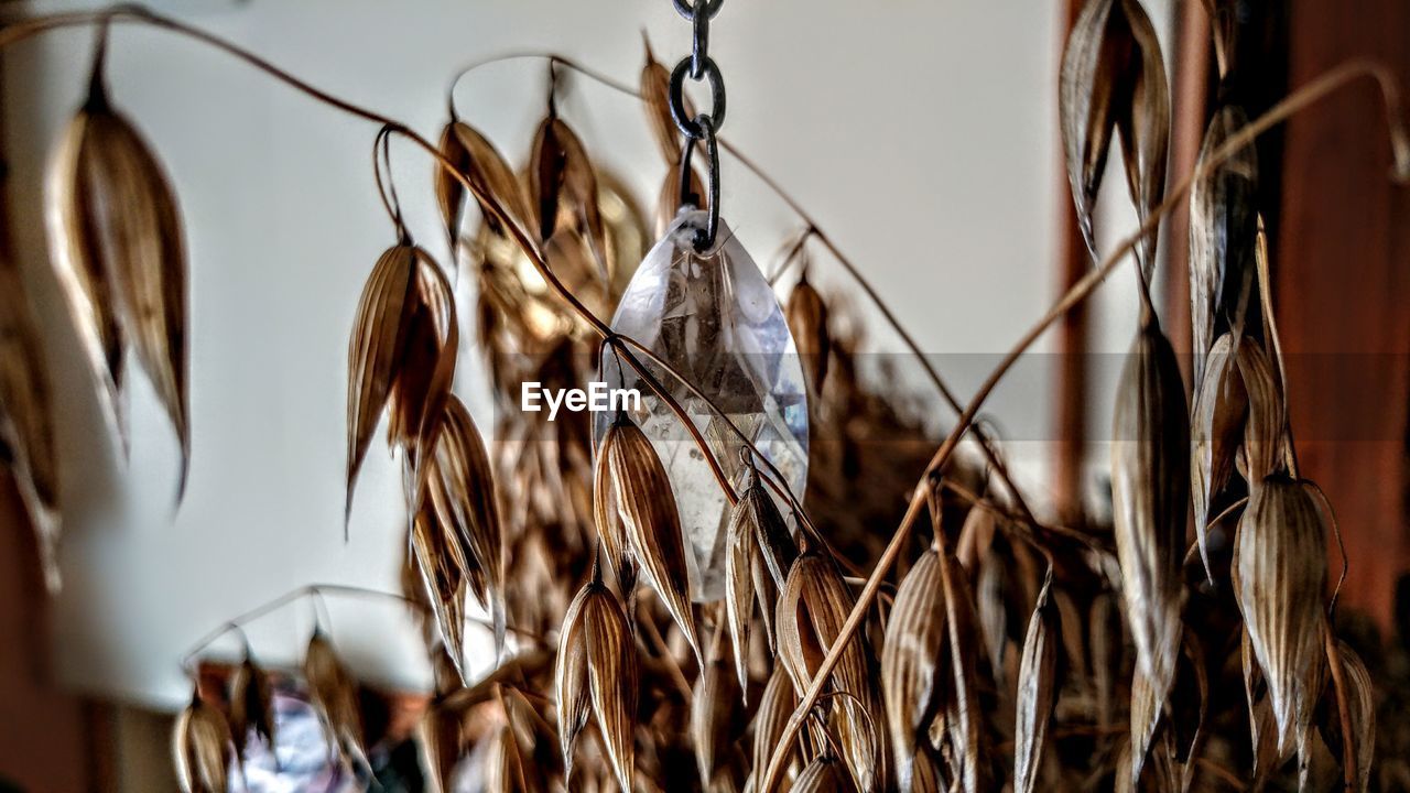 CLOSE-UP OF CLOTHES HANGING ON CLOTHESLINE