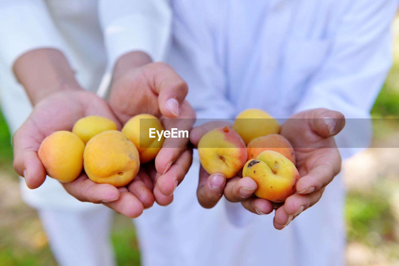 Midsection of people holding apricots in backyard
