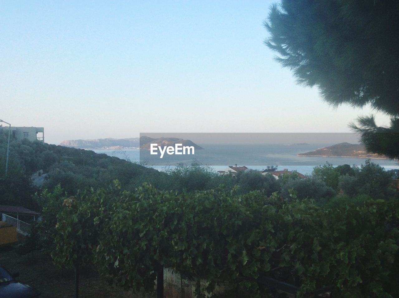 SCENIC VIEW OF SEA WITH TREES IN BACKGROUND