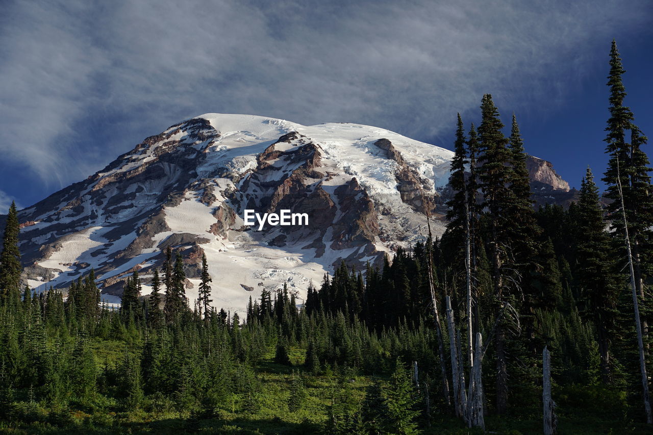mountain, snow, tree, scenics - nature, wilderness, nature, plant, beauty in nature, sky, mountain range, cold temperature, environment, winter, forest, land, snowcapped mountain, landscape, coniferous tree, pine tree, cloud, pinaceae, pine woodland, ridge, no people, tranquil scene, tranquility, travel destinations, non-urban scene, mountain peak, travel, outdoors, tourism, woodland, day