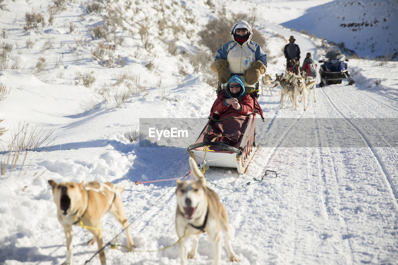 Family dogsledding on snowy field