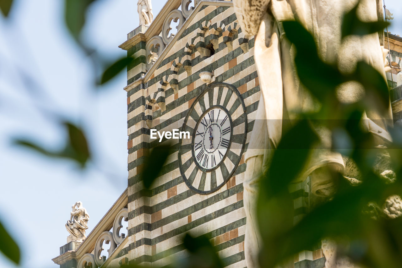 LOW ANGLE VIEW OF CLOCK TOWER AMIDST TREES