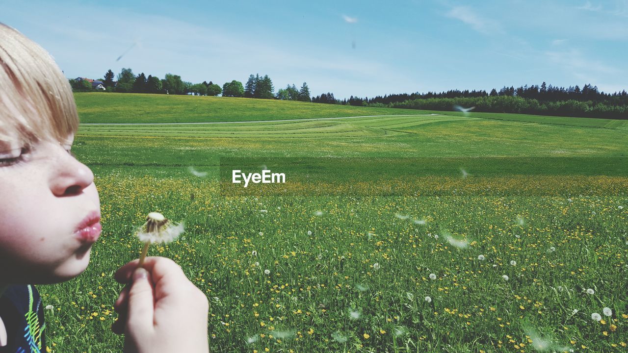 Cropped image of boy on grassy field