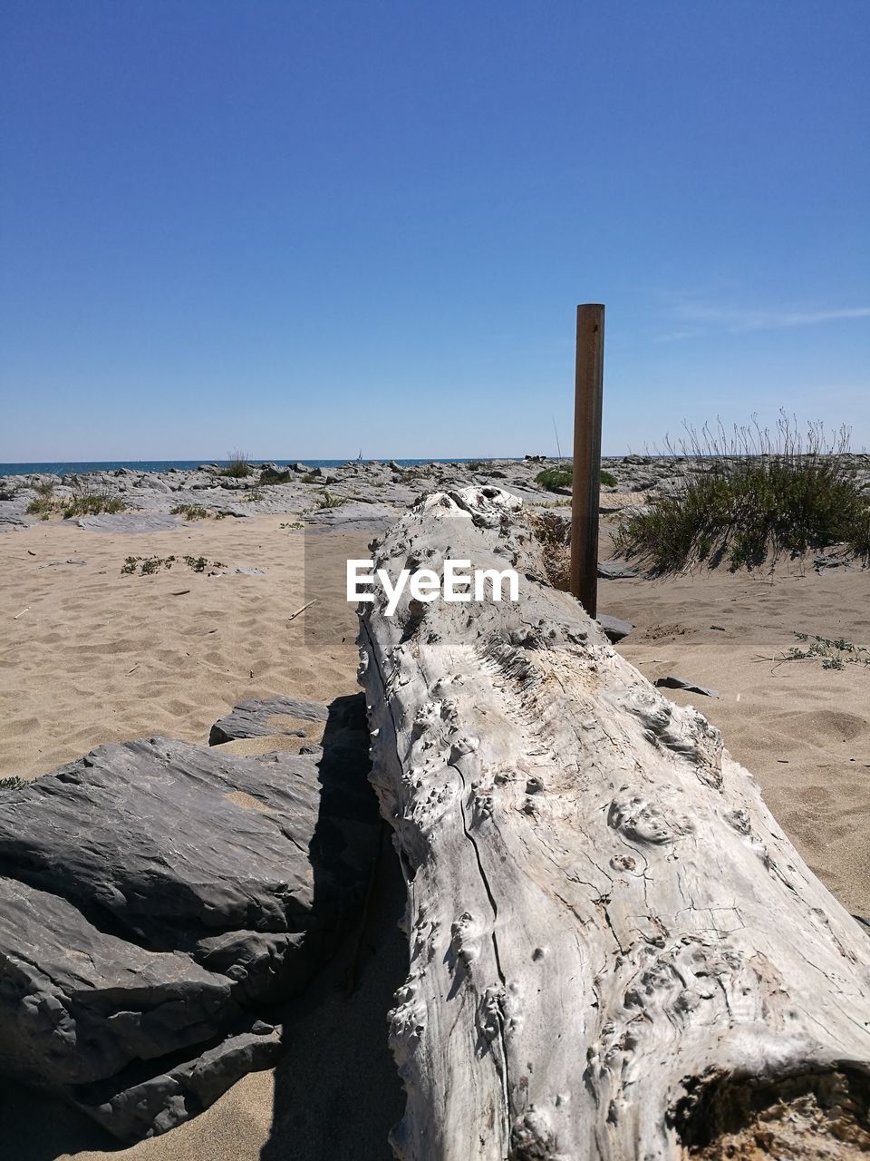 View of sandy beach against blue sky