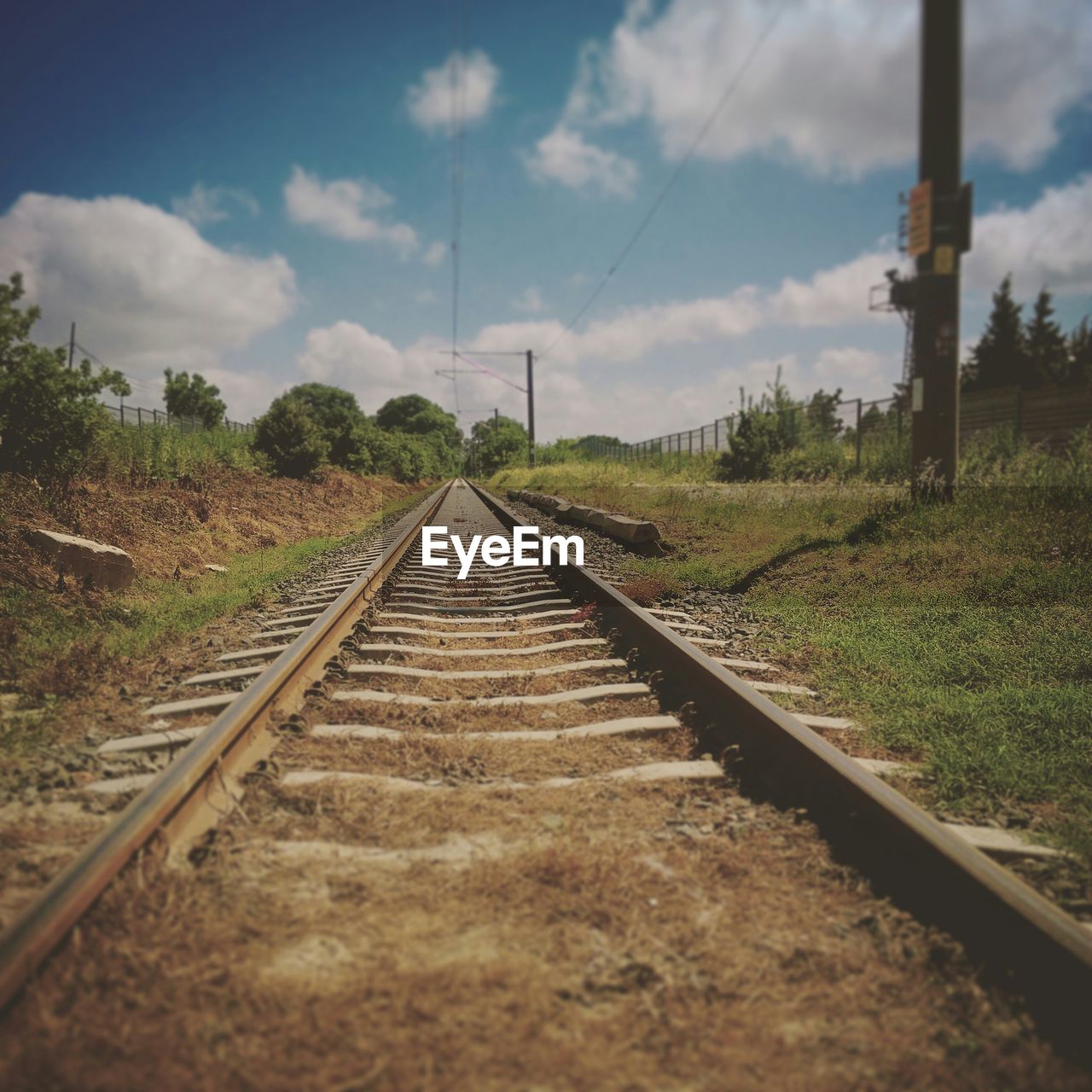 Railroad track amidst trees against sky