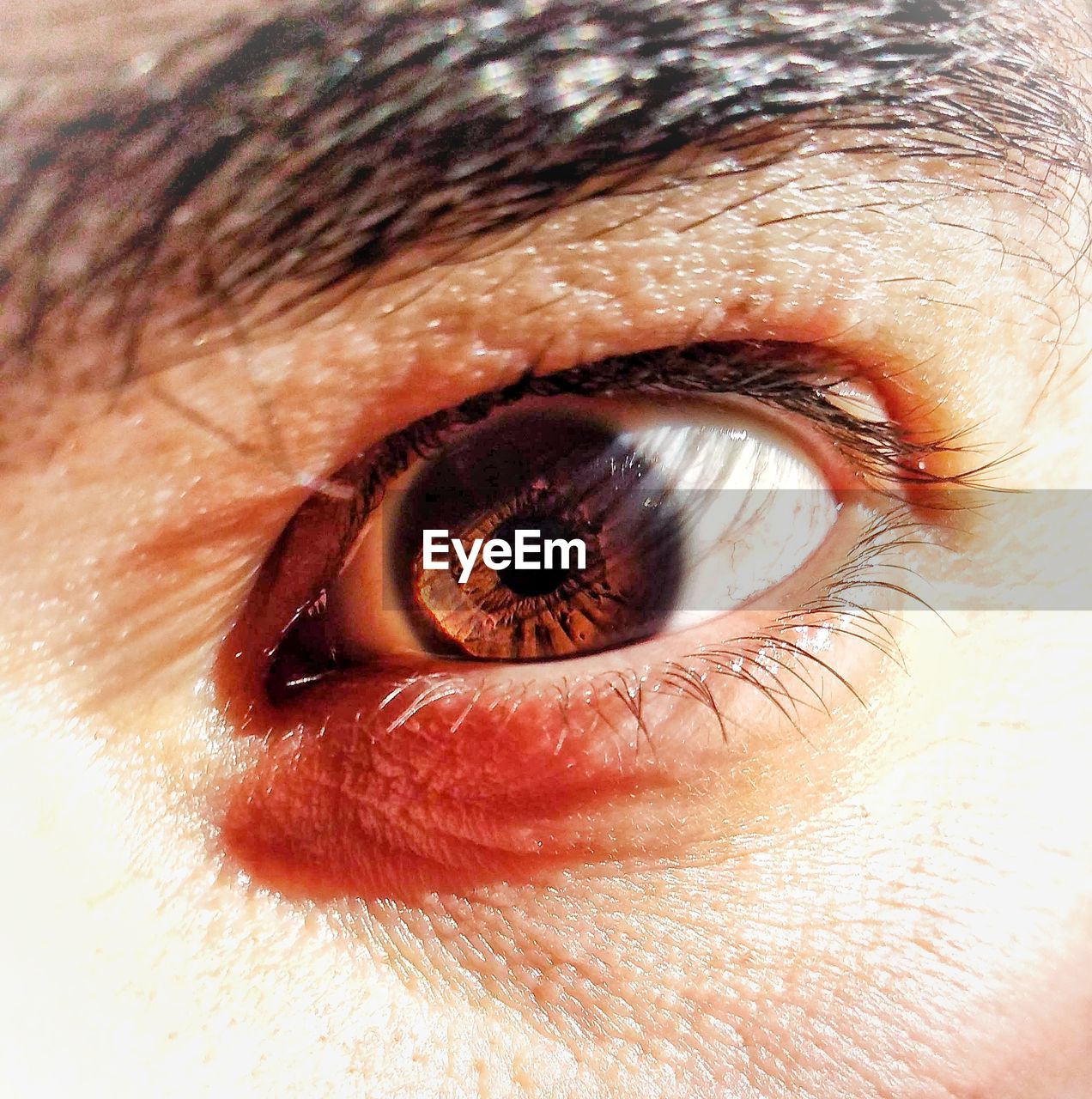 MACRO SHOT OF HUMAN EYE
