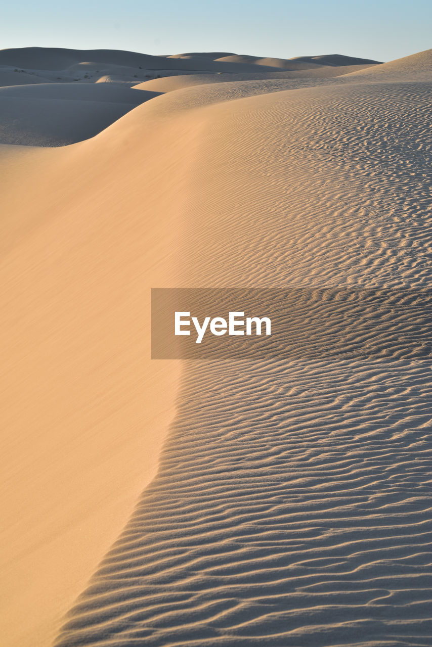 Sand dunes in a desert