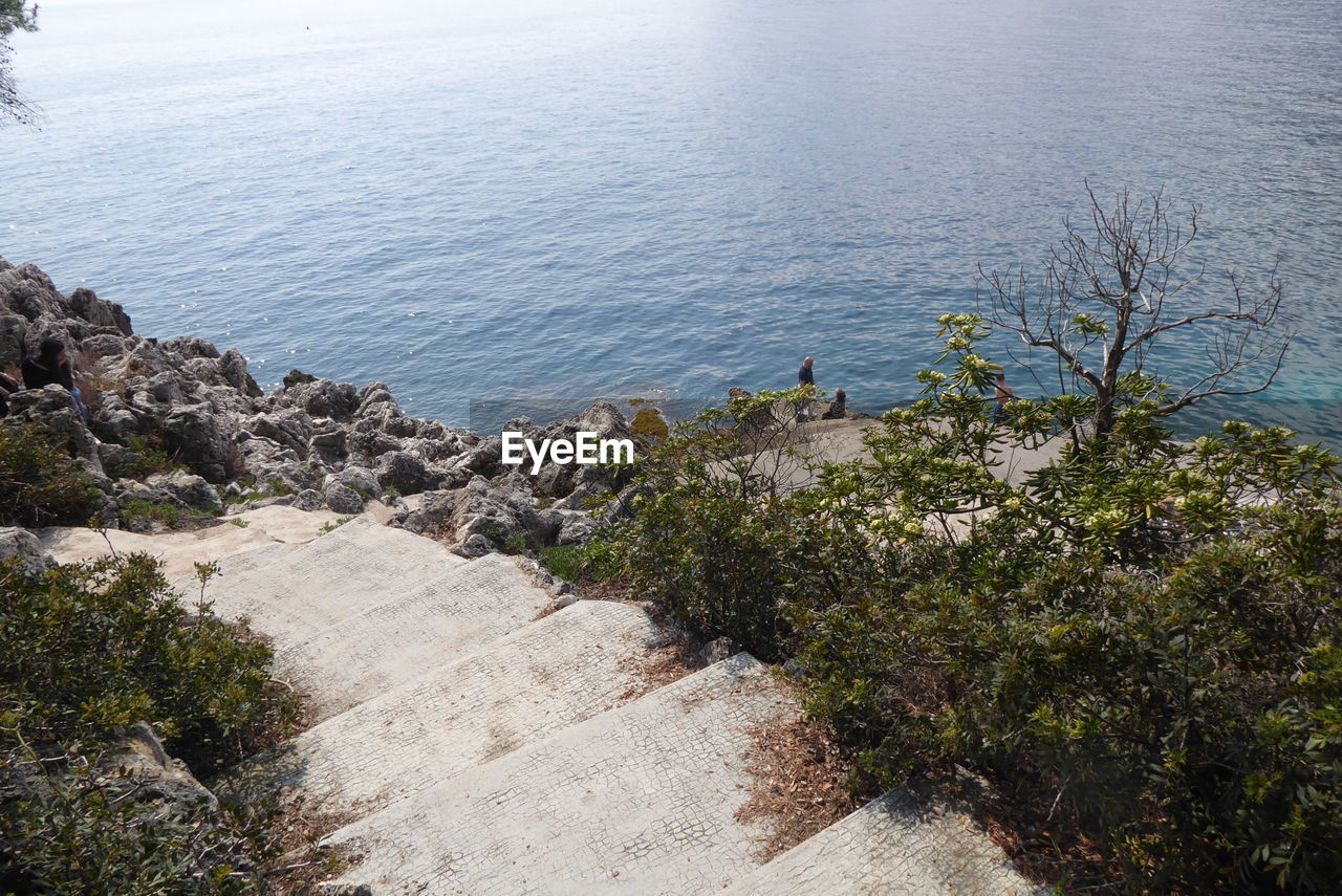 water, sea, plant, beauty in nature, nature, scenics - nature, coast, shore, tranquility, high angle view, tranquil scene, beach, rock, day, land, cliff, tree, no people, outdoors, non-urban scene, mountain, idyllic, terrain, growth, sunlight, body of water, bay, sky, landscape