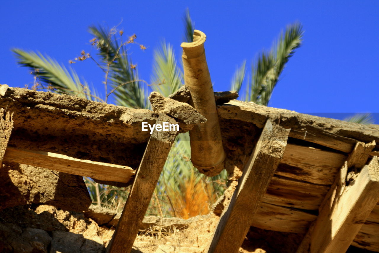 LOW ANGLE VIEW OF CACTUS AGAINST THE SKY