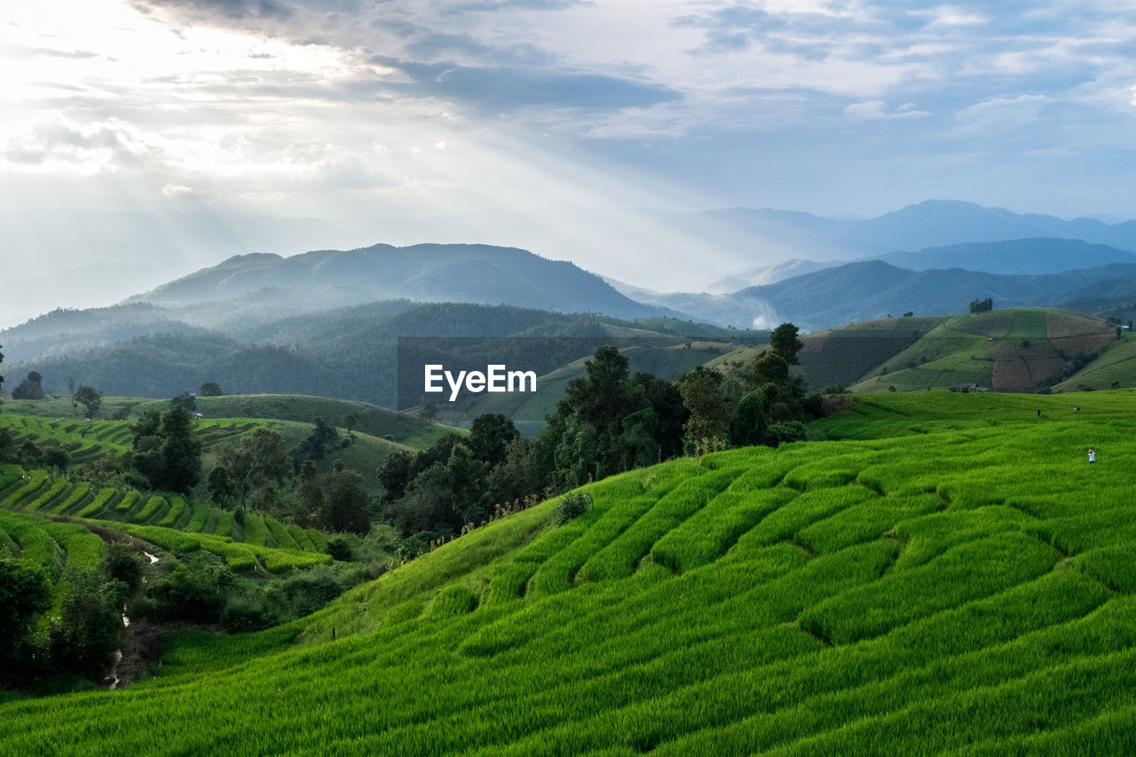 SCENIC VIEW OF FARMS AGAINST SKY