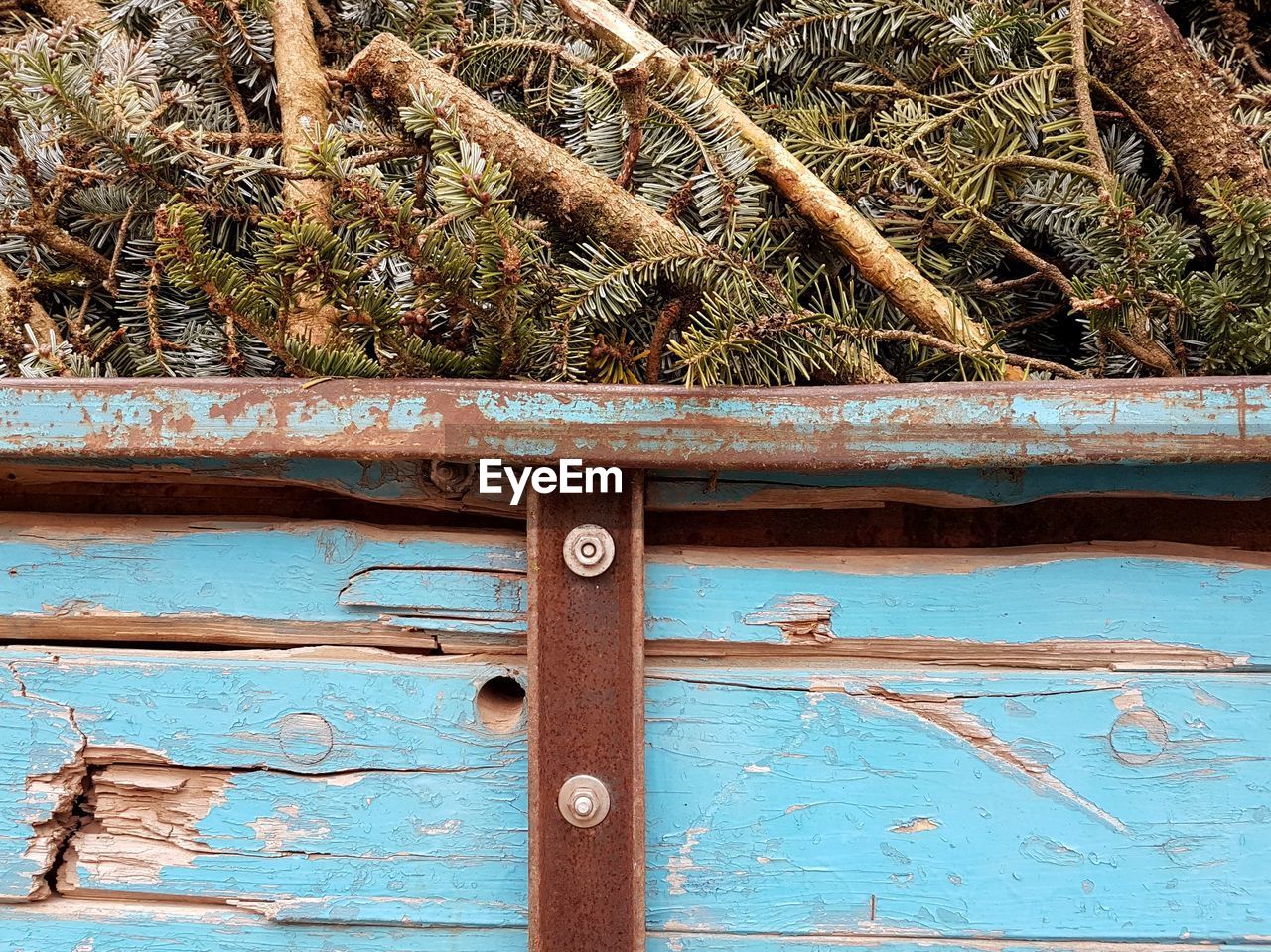 Close-up of rusty door