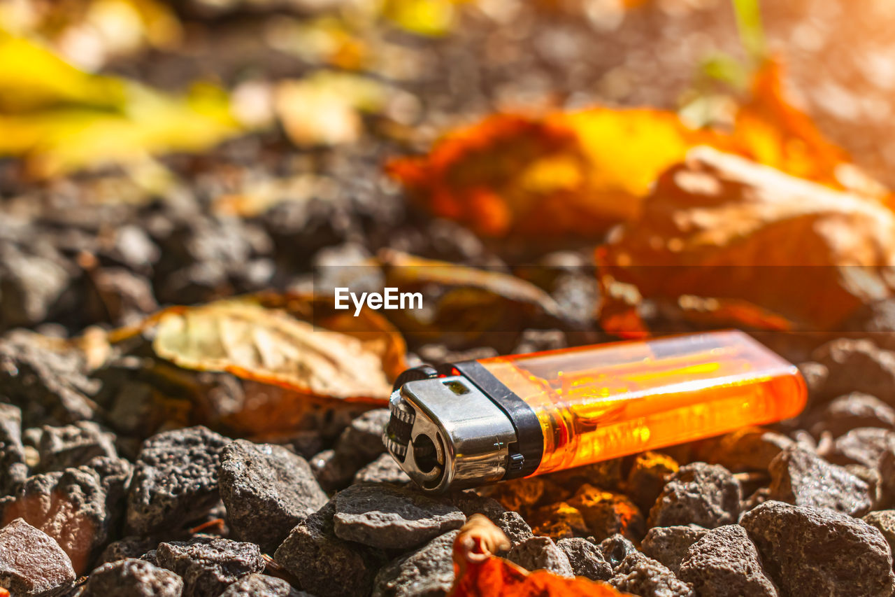 Orange lighter lies on stones among fallen leaves
