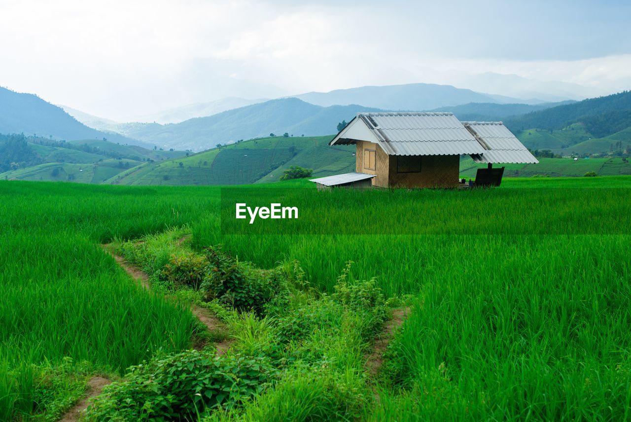 Scenic view of agricultural field by houses and mountains against sky