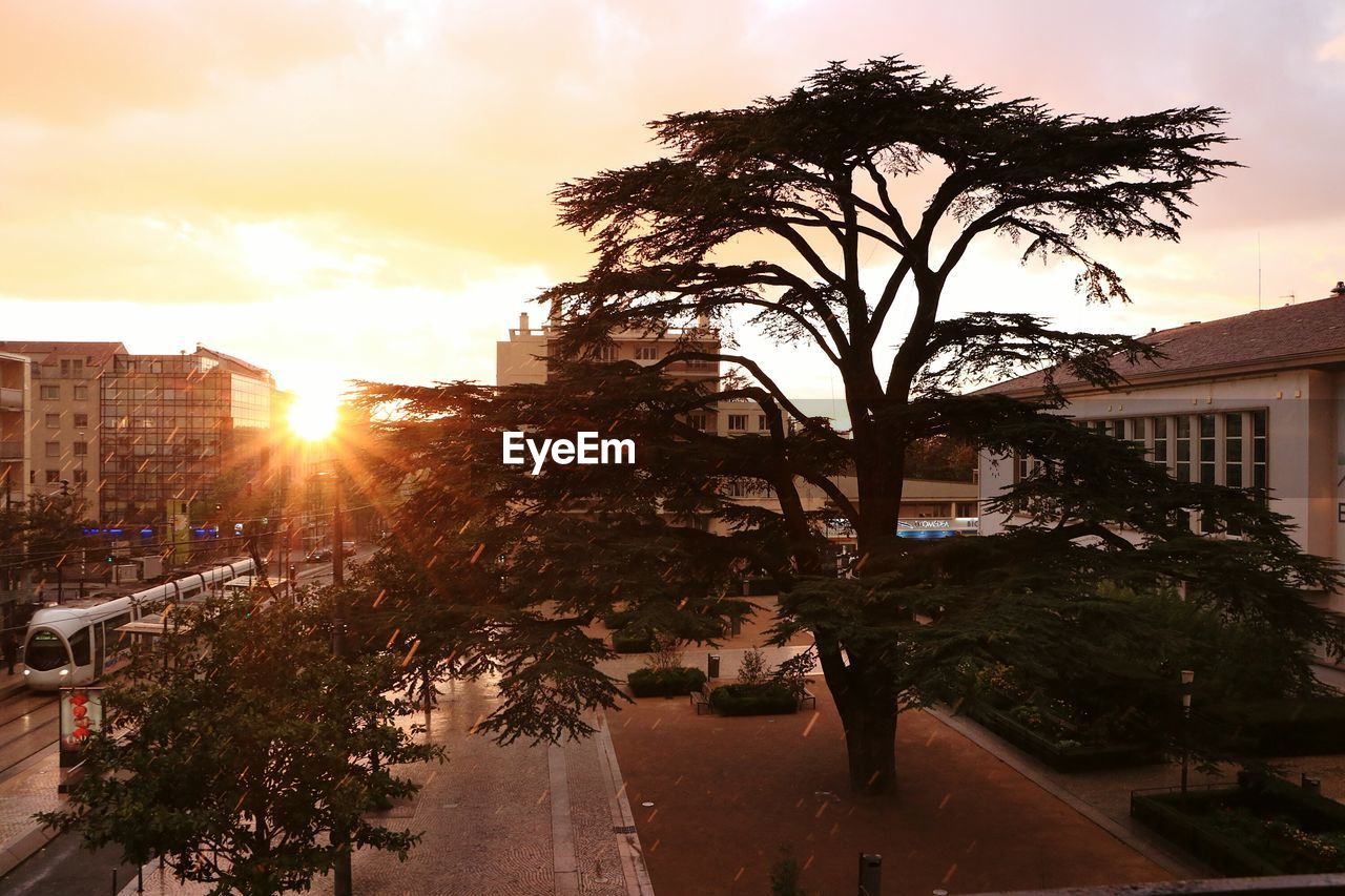 Buildings at sunset