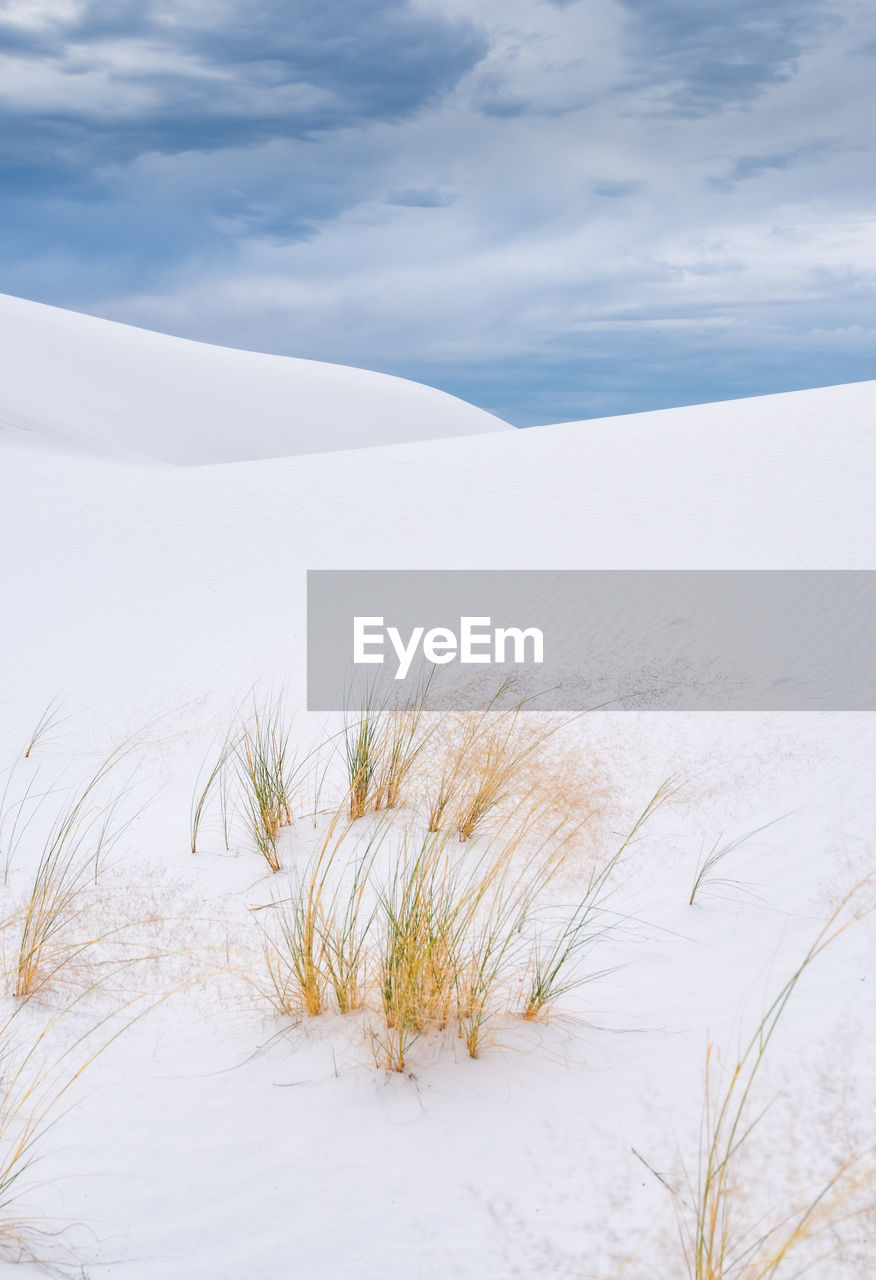 Scenic view of sand covered landscape against blue sky in white sands national park
