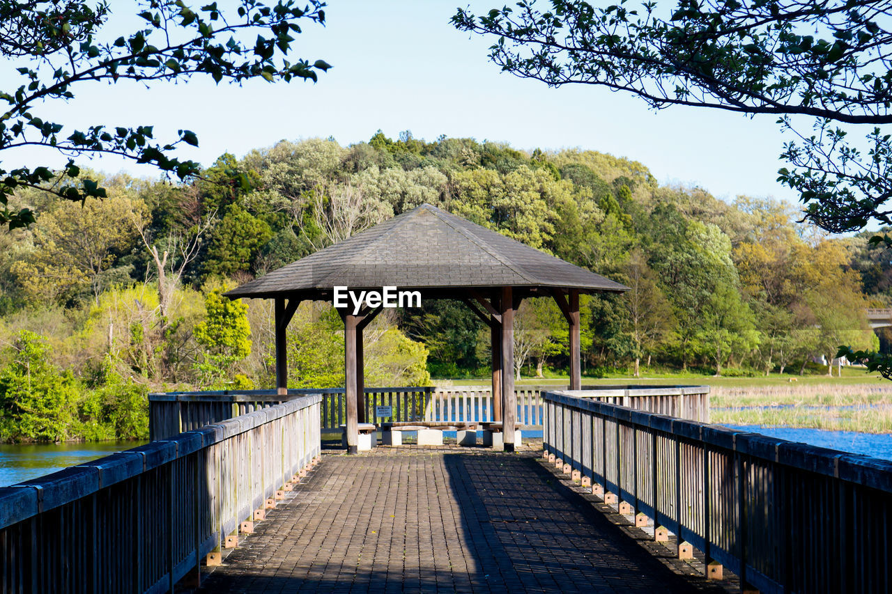 FOOTBRIDGE IN FOREST AGAINST CLEAR SKY