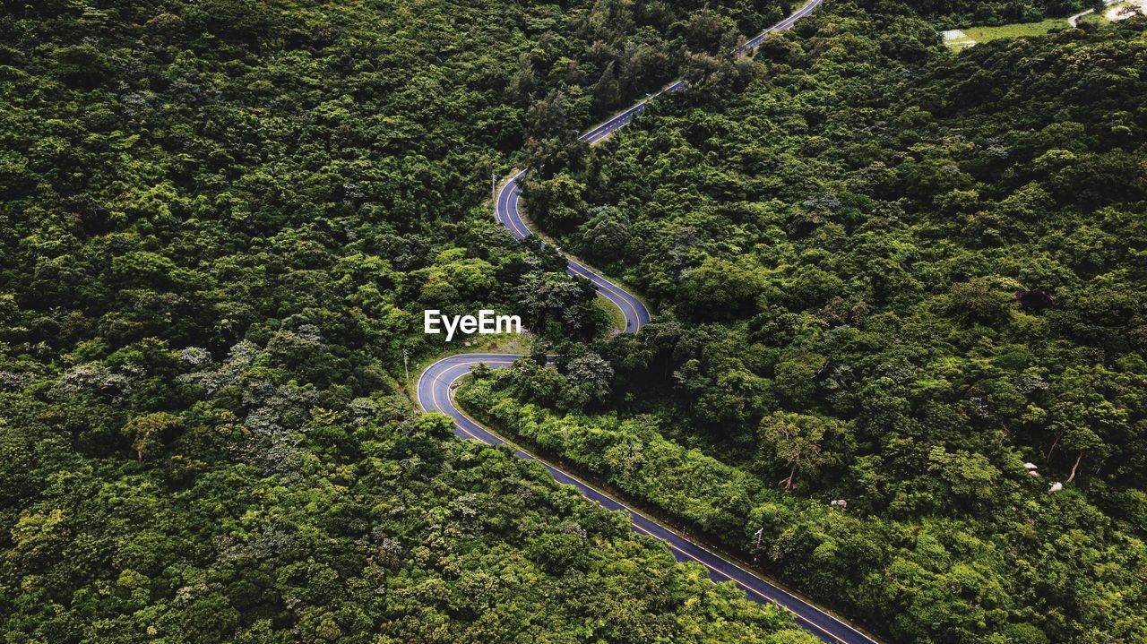 Aerial view of winding road in forest