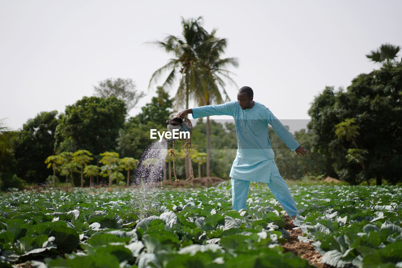 Man watering plants in field