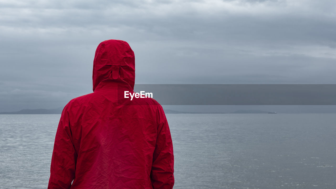 Rear view of man standing at beach against sky