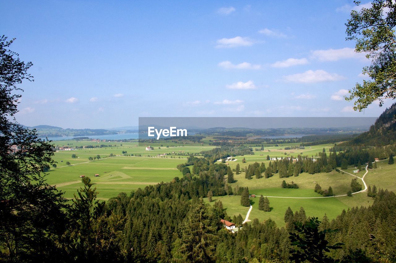 SCENIC VIEW OF LANDSCAPE AND TREES AGAINST SKY