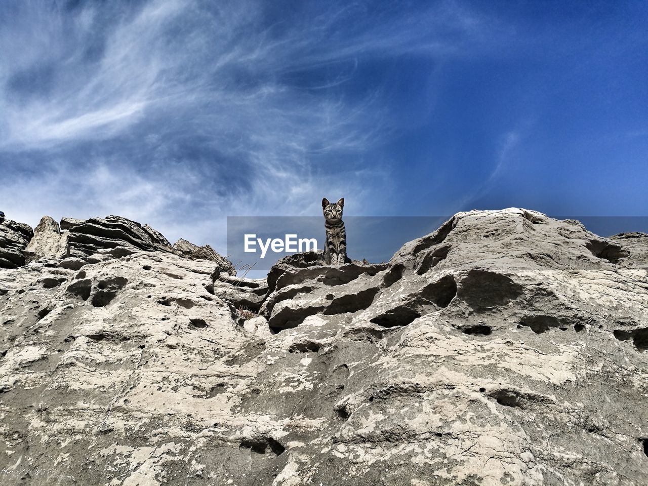 Low angle view of cat on rock formation against sky