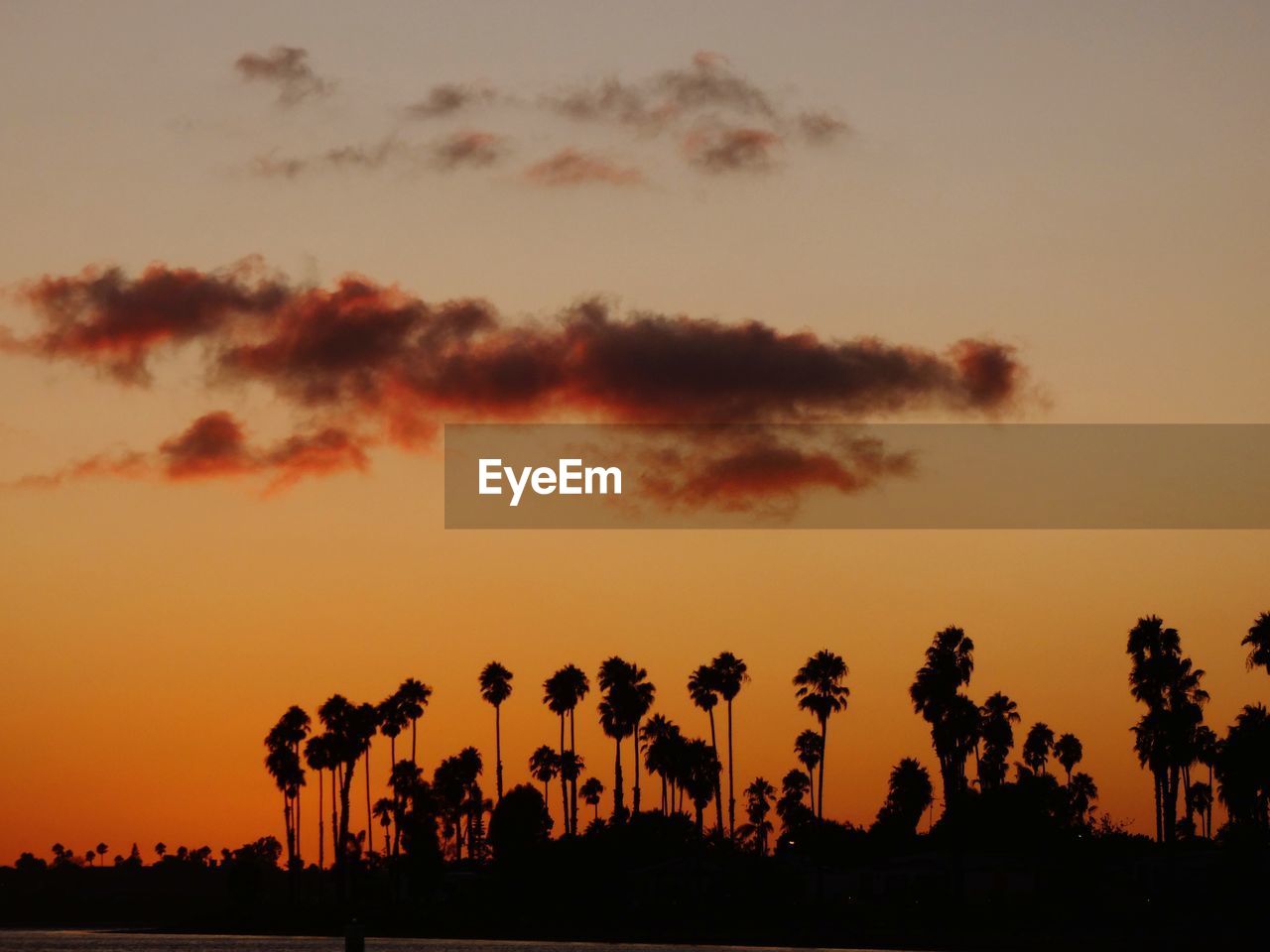 Silhouette palm trees against sky during sunset