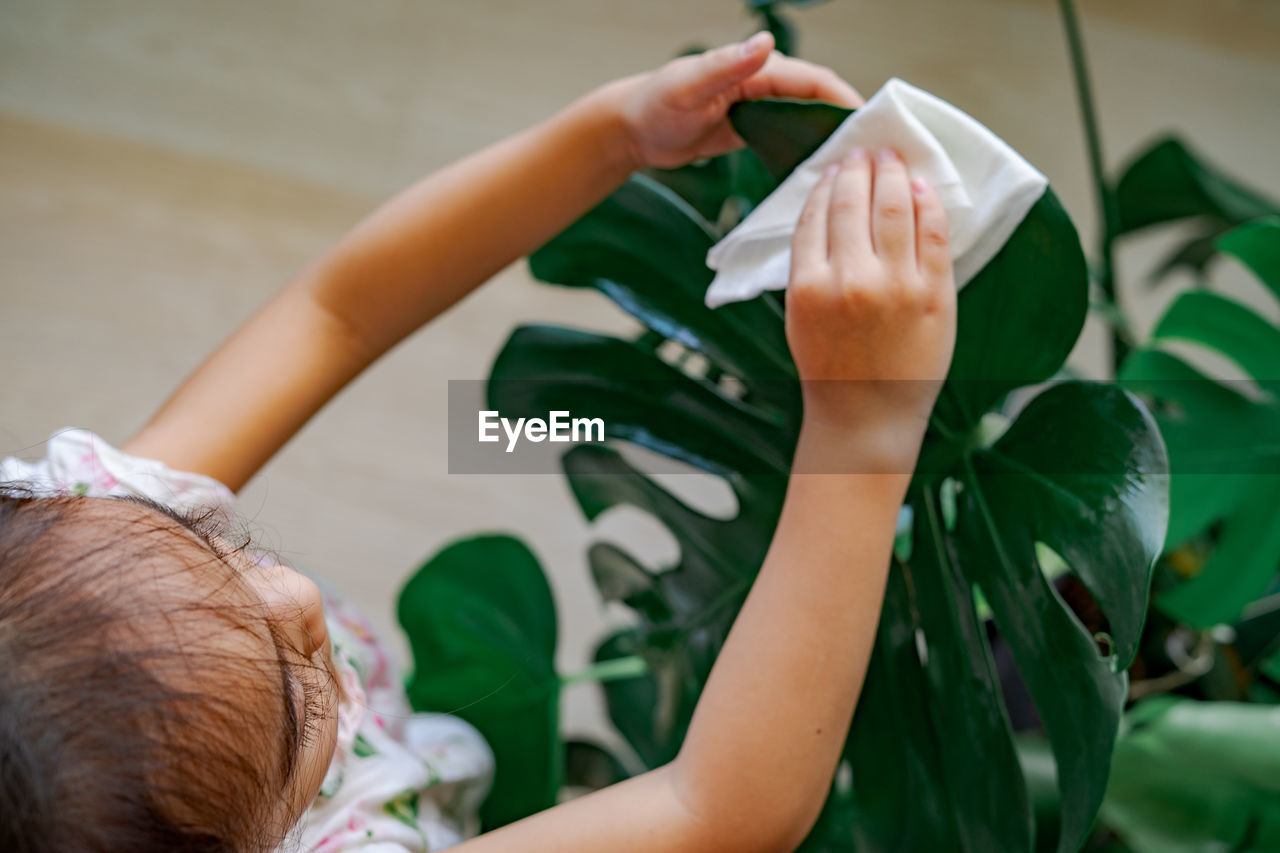 High angle view of boy holding leaf