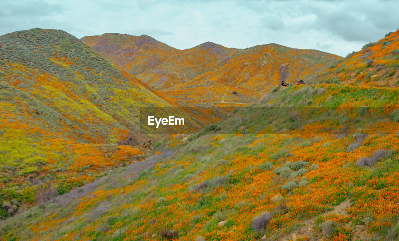 Scenic view of mountains during autumn