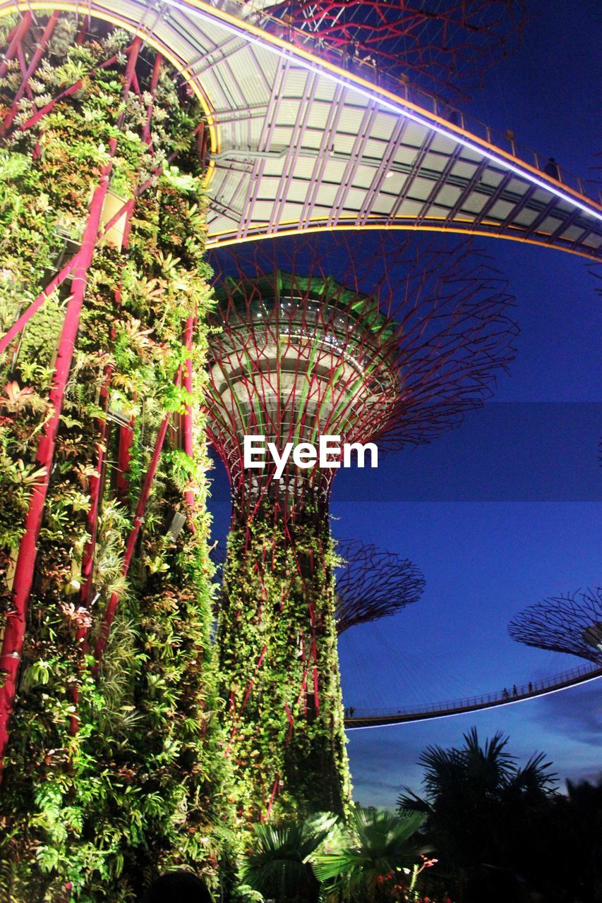 LOW ANGLE VIEW OF TREES AND BUILDING