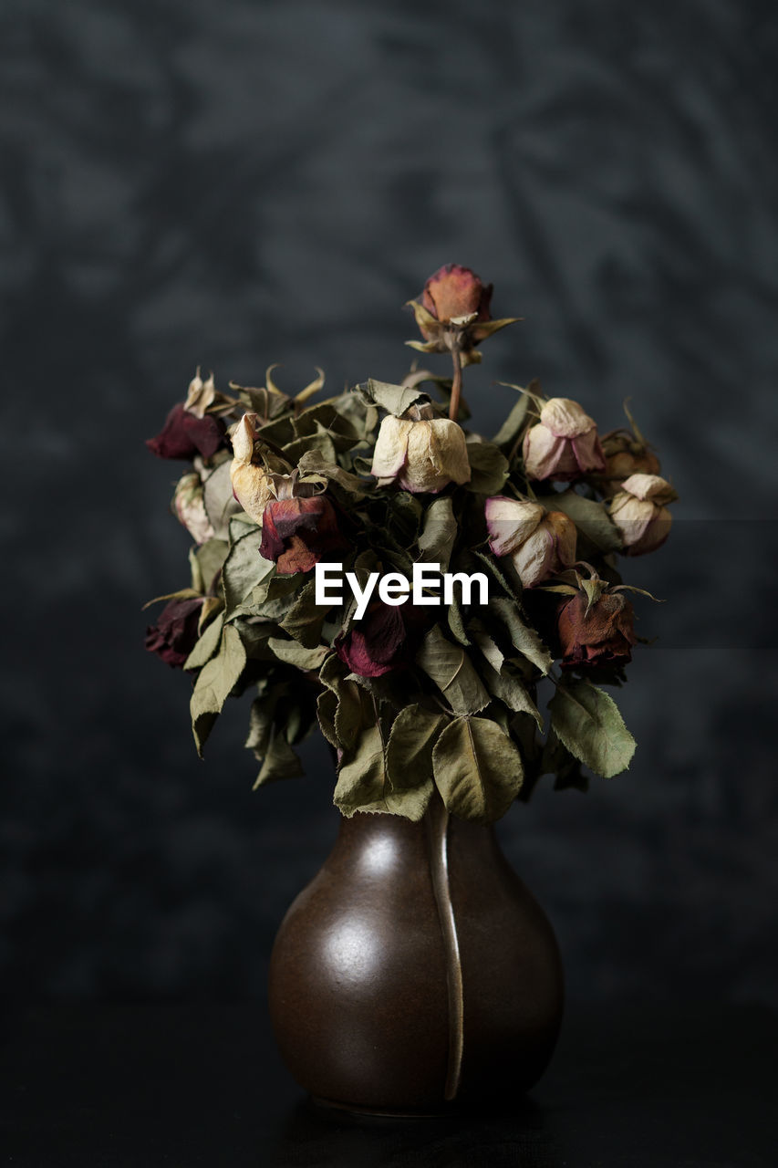 still life photography, flower, plant, flowering plant, freshness, studio shot, nature, indoors, no people, beauty in nature, vase, close-up, still life, spring, black background, rose, fragility, macro photography, plant part, floristry, leaf, food and drink