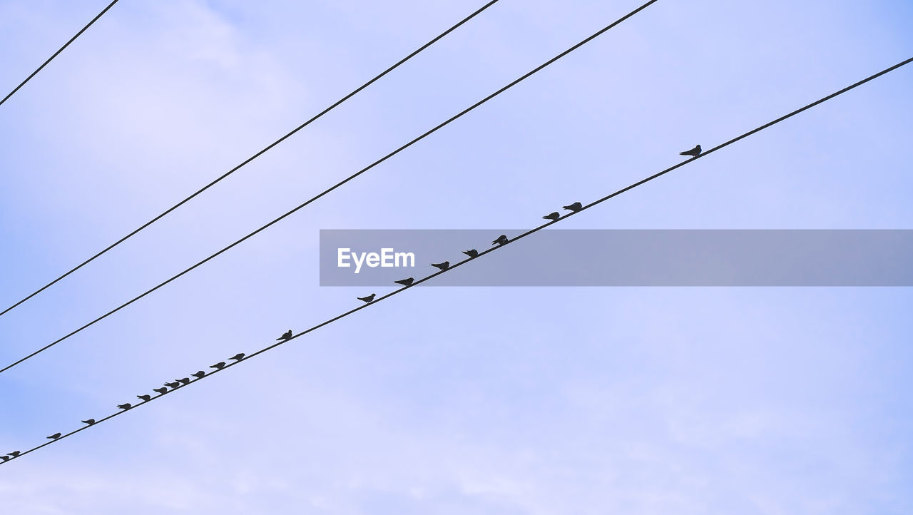 Low angle view of birds perching on cable against cloudy sky