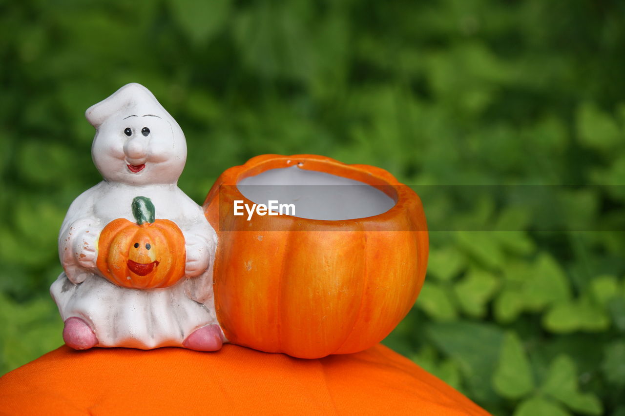 CLOSE-UP OF PUMPKIN ON PUMPKINS