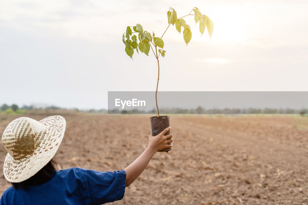 Woman holding potted plant at farm against sky