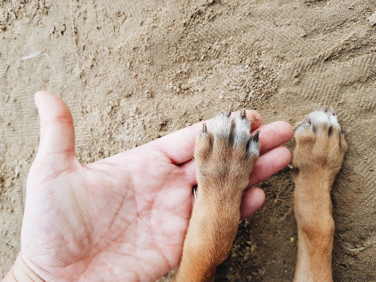 CLOSE-UP OF MAN HAND WITH SAND