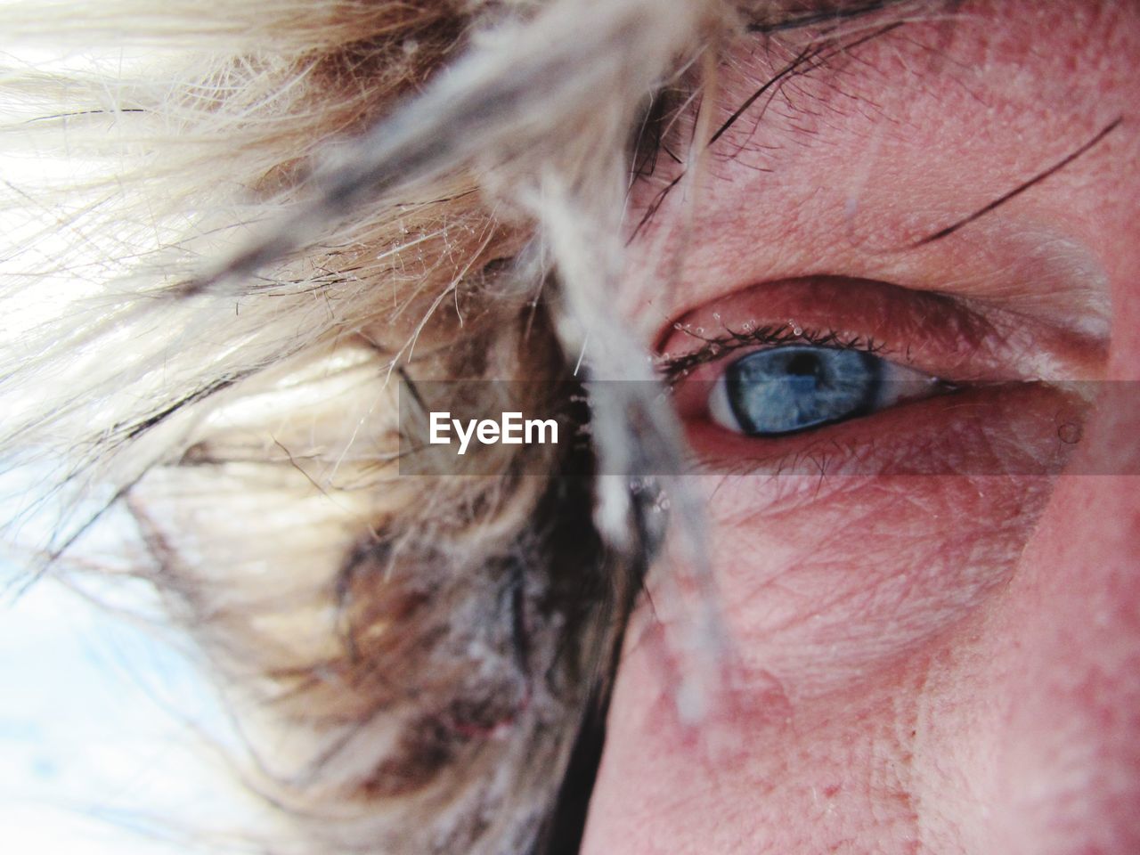 Close-up of man eye