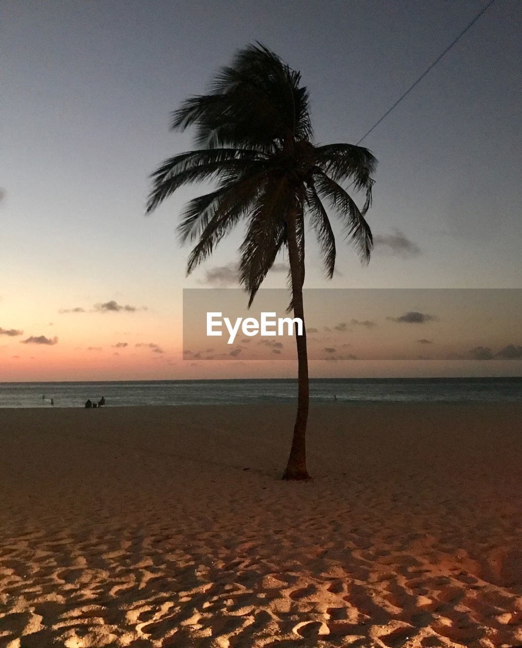PALM TREES ON BEACH AGAINST SKY