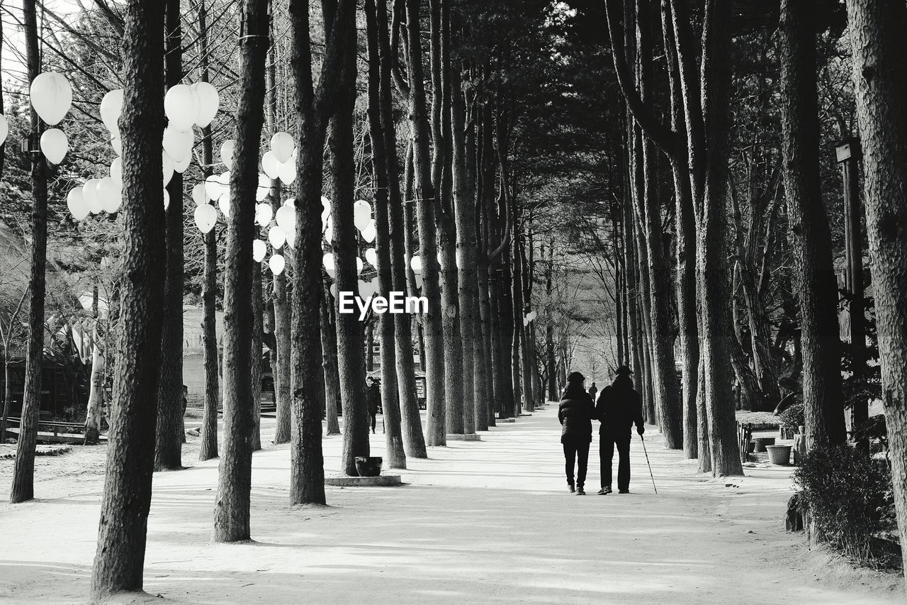 People walking on pathway amidst trees during winter