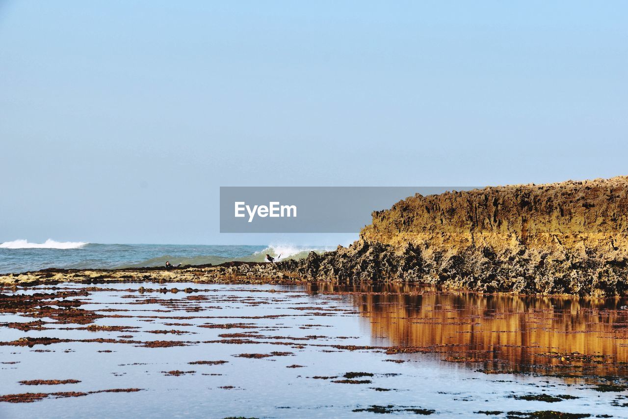 VIEW OF BEACH AGAINST CLEAR SKY