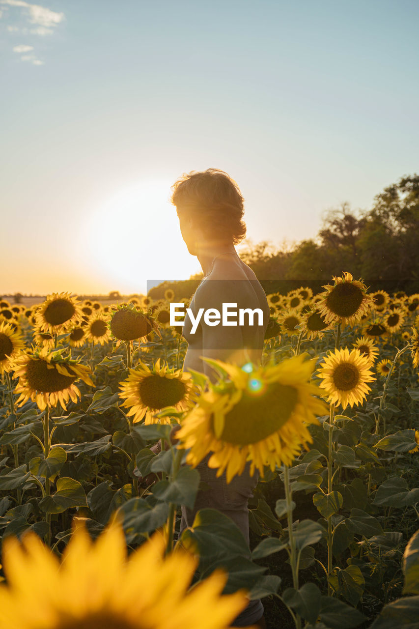 Rear view of woman standing amidst flowers