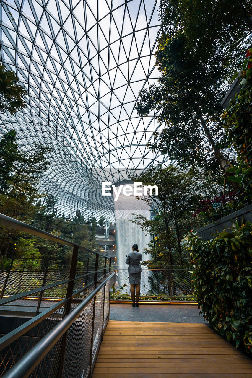 REAR VIEW OF WOMAN STANDING ON FOOTBRIDGE ALONG TREES