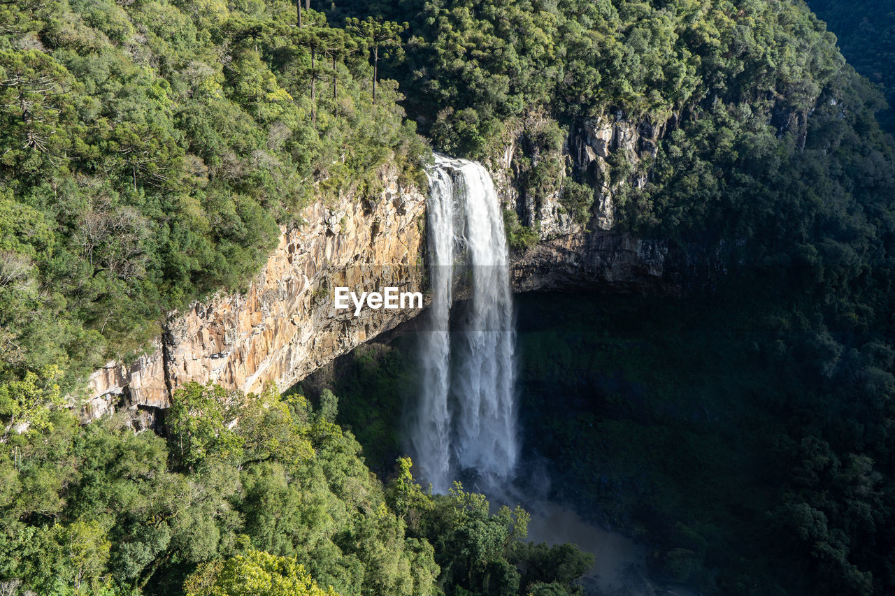 Scenic view of waterfall in forest