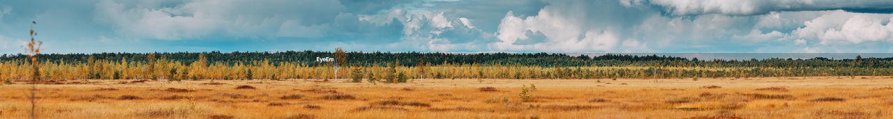 scenic view of field against cloudy sky