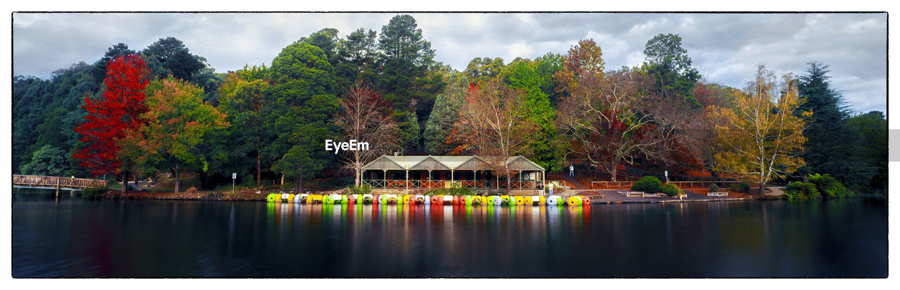 Scenic view of lake by trees against sky