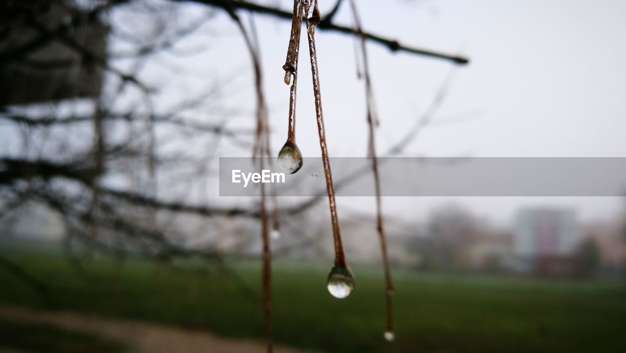 CLOSE-UP OF HANGING LIGHT