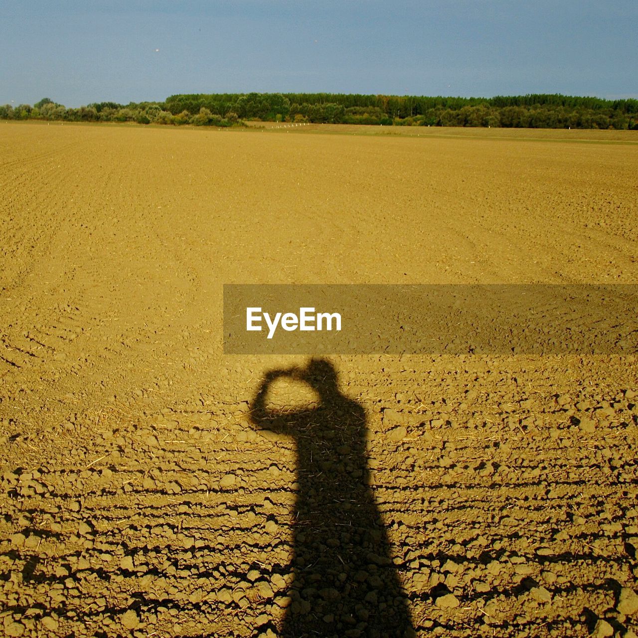 SHADOW OF MAN ON SAND ON FIELD