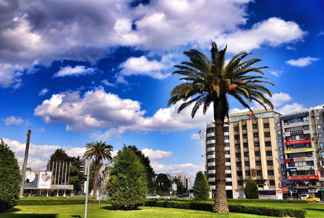PALM TREES IN PARK AGAINST CLOUDY SKY