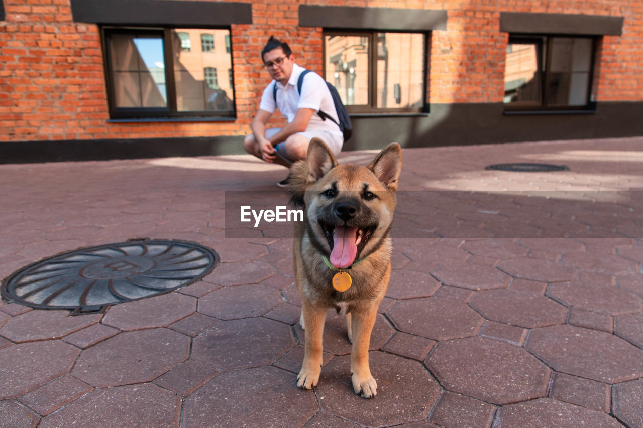 Mid adult man looking at dog panting while standing on road against building